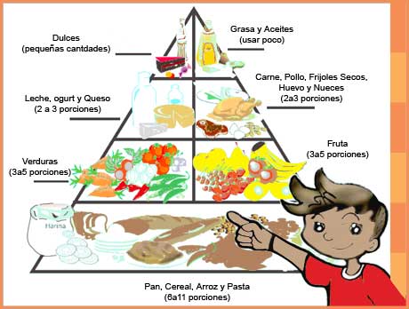 DIETA MACROBIOTICA CANCER